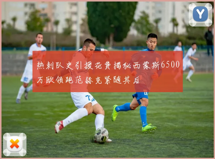 热刺队史引援花费揭秘西蒙斯6500万欧领跑范赫克紧随其后